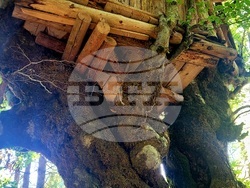 Село Могилица - изглед