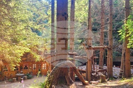 Село Могилица - изглед