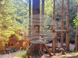 Село Могилица - изглед