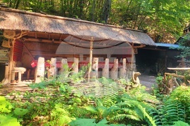 Село Могилица - изглед