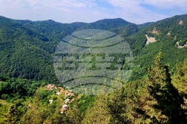 Село Могилица - изглед