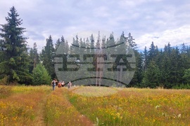 Село Могилица - изглед