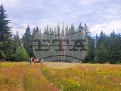 Село Могилица - изглед