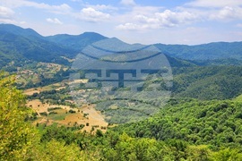 Село Могилица - изглед