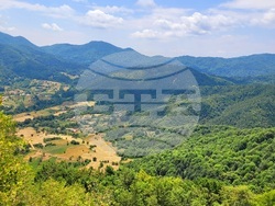 Село Могилица - изглед