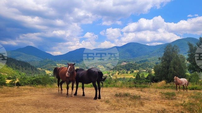 Прогноза за времето 