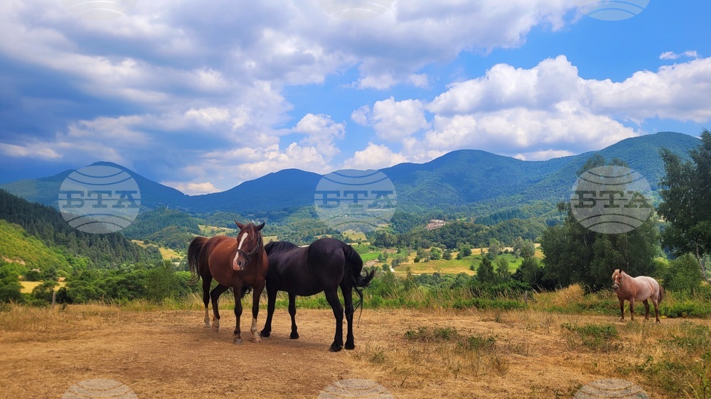 The Weather on October 9