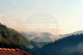 Село Могилица - изглед