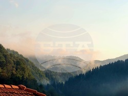 Село Могилица - изглед