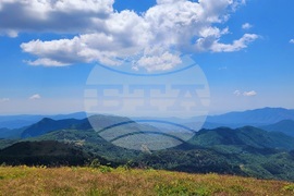 Село Могилица - изглед