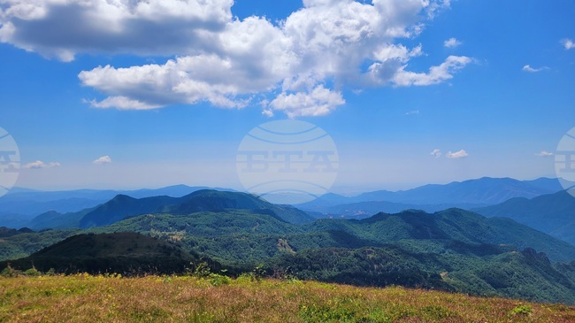 Прогноза за времето