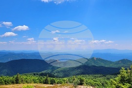 Село Могилица - изглед