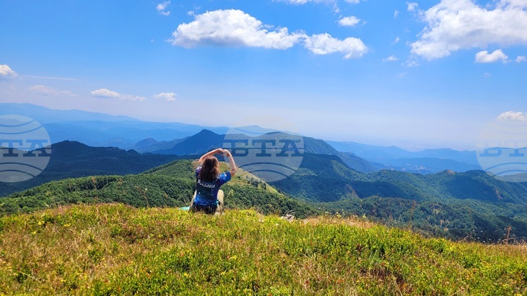 European Climate Law Allows Policy Flexibility for Member States while Setting Binding Emissions Targets, Expert Says