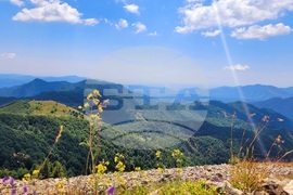 Село Могилица - изглед