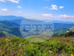 Село Могилица - изглед