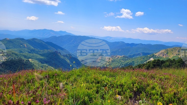 Родопски потайности или (отново) лятна ваканция в Могилица