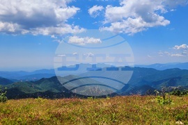 Село Могилица - изглед