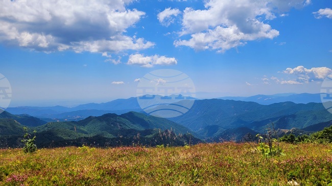 The Weather on August 19