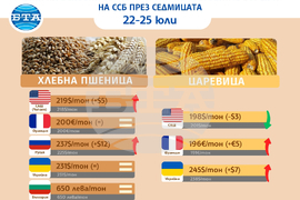 Цени на основни зърнени стоки по световните борси през седмицата 22-25 юли