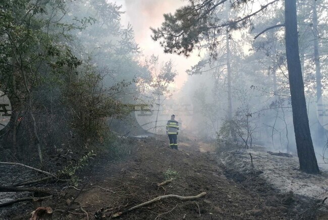 Пожарът край язовир "Порой" е обхванал основно борова гора, гасенето продължава втори ден