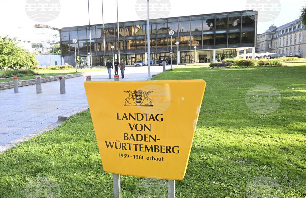 Germany Lawmaker Swastika