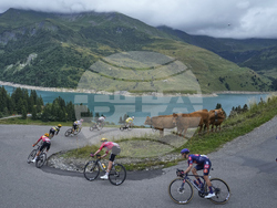 Cycling Tour de France