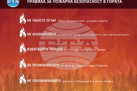 Мълния е най-честата причина за възникване на пожари в националните паркове през лятото