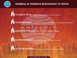 Мълния е най-честата причина за възникване на пожари в националните паркове през лятото