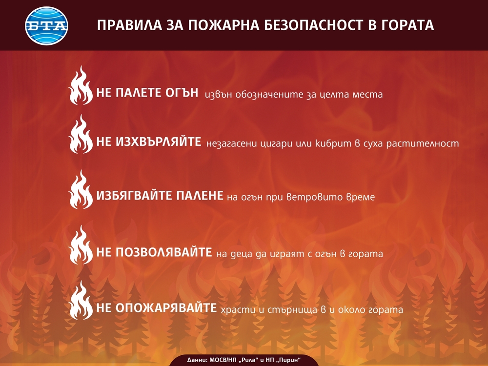Мълния е най-честата причина за възникване на пожари в националните паркове през лятото