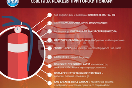 Мълния е най-честата причина за възникване на пожари в националните паркове през лятото