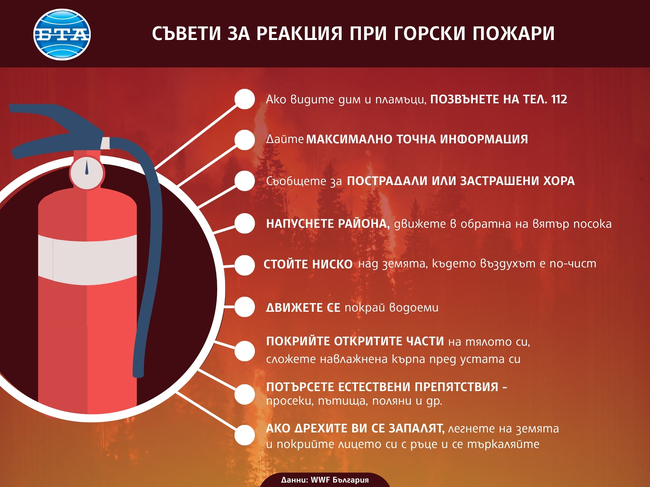 Мълния е най-честата причина за възникване на пожари в националните паркове през лятото