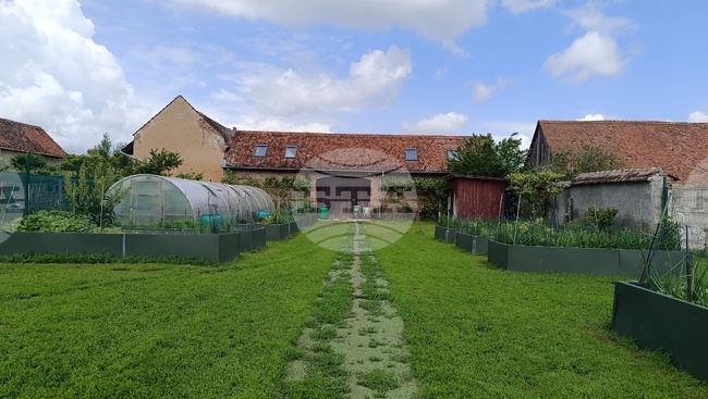 Бивша банкерка в Румъния си купи саксонска къща и я превърна в гастрономически пункт за туристи