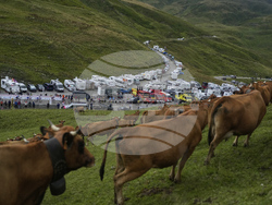 Cycling Tour de France