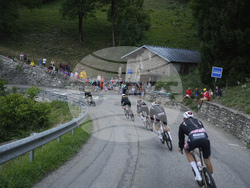 Cycling Tour de France