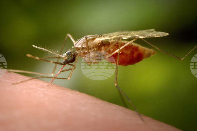 Китайските власти предприемат мерки срещу разпространението на вируса чукунгуня