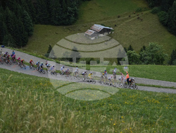 Cycling Tour de France