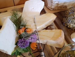 Румъния - Хърман - сашка къща - туризъм