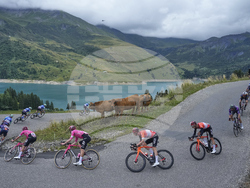 Cycling Tour de France