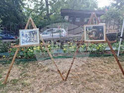 Троян - „Икони, картини и пана“ - Борислава Кацарова - изложба