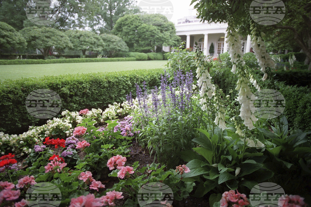 Trump Rose Garden