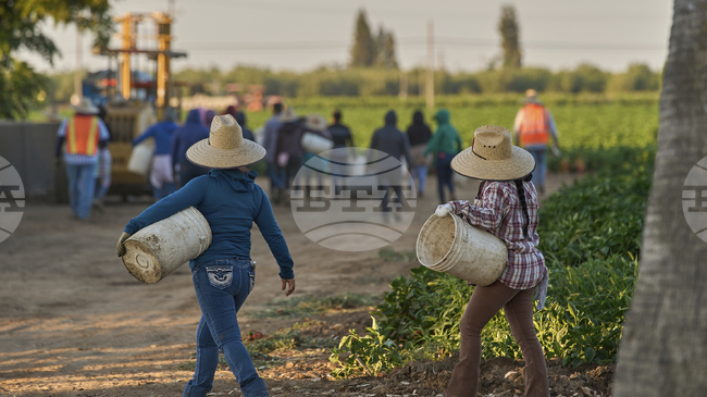 Администрацията на Доналд Тръмп не може да разширява ускореното депортиране на мигранти, постанови апелативен съд в САЩ