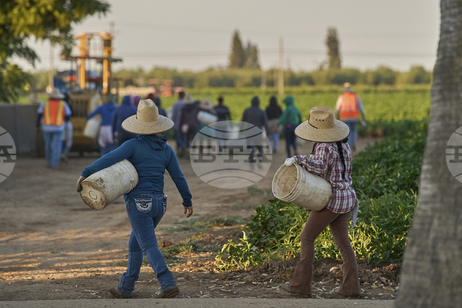 Руанда се споразумя със САЩ да приеме до 250 мигранти