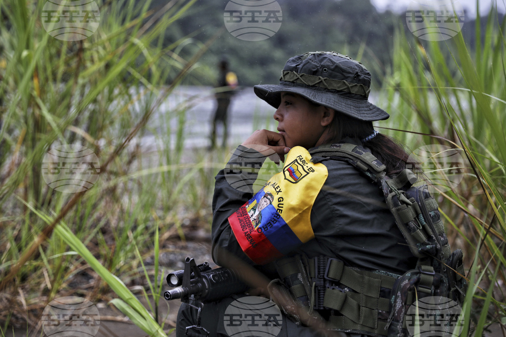 Colombia Violence