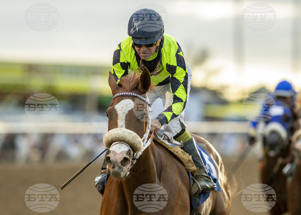 Del Mar Horse Racing