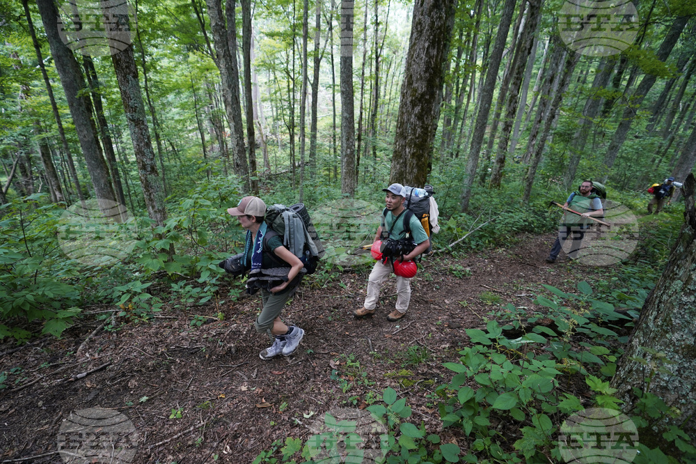 Hurricane Helene Appalachian Trail