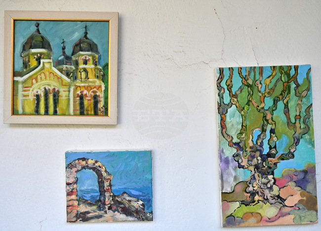 Изложба показва картини на 20 творци от пленера „Вършец 2025“ 