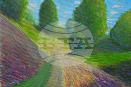 Вършец - пленер - изложба