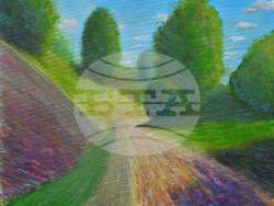 Вършец - пленер - изложба