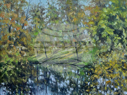 Вършец - пленер - изложба