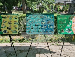 Троян - с. Черни Осъм - Природонаучен музей - Ден на рейнджъра 2025